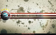 风云直播-盘点CBA球员训练使用的球馆与设施分布情况