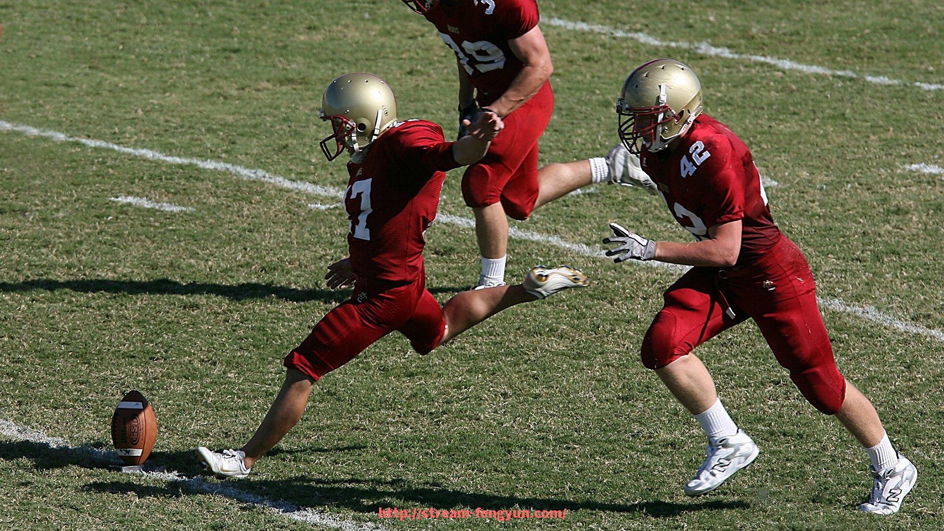 风云直播-宝德龙健身器材有限公司的产品优势和服务范围有哪些？（山东宝德龙健身器材官网）